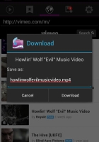 Video Downloader 