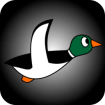 Duck Hunt (ördek vurma)