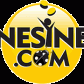 Nesine.Com