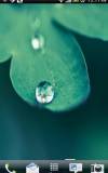 Water Drop LiveWallpaper